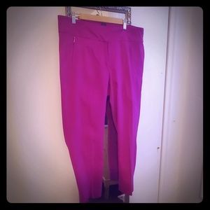 Stretch Fuchsia dress pants